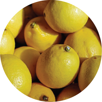 fertilizante limon